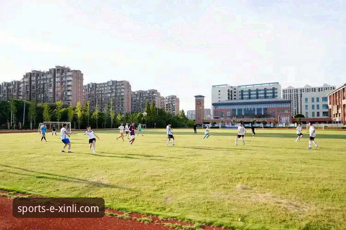 新利体育平台赛事观看体验全面评测：v2.1.0版本如何重塑观赛边界？