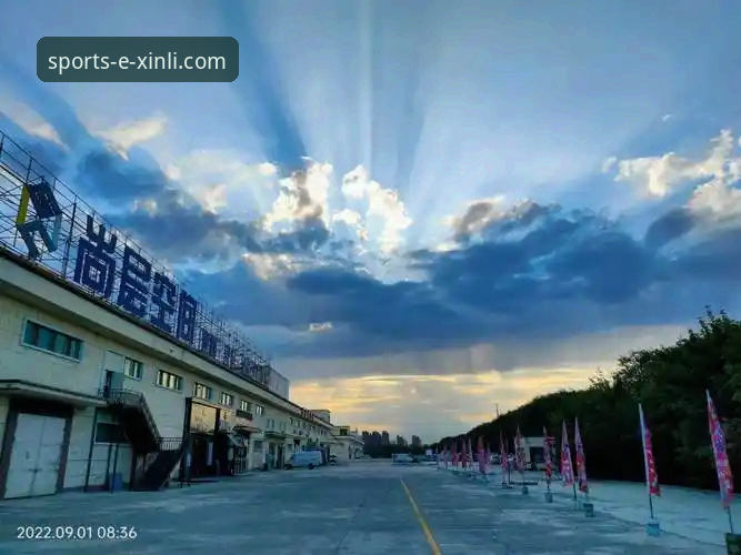 新利体育平台深度评测：从入口体验到行业趋势的全景观察